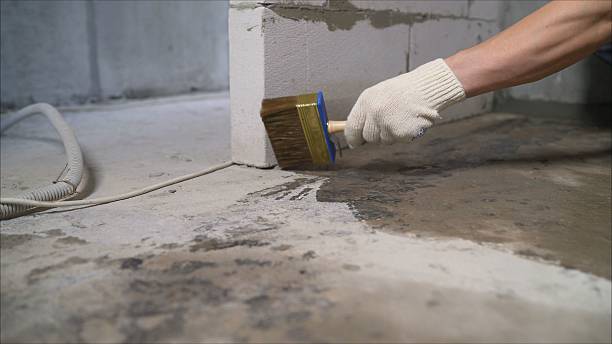 24/7 Emergency Crawl Space Encapsulation experts in Monterey, TN